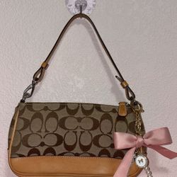 Coach signature demi pouch 