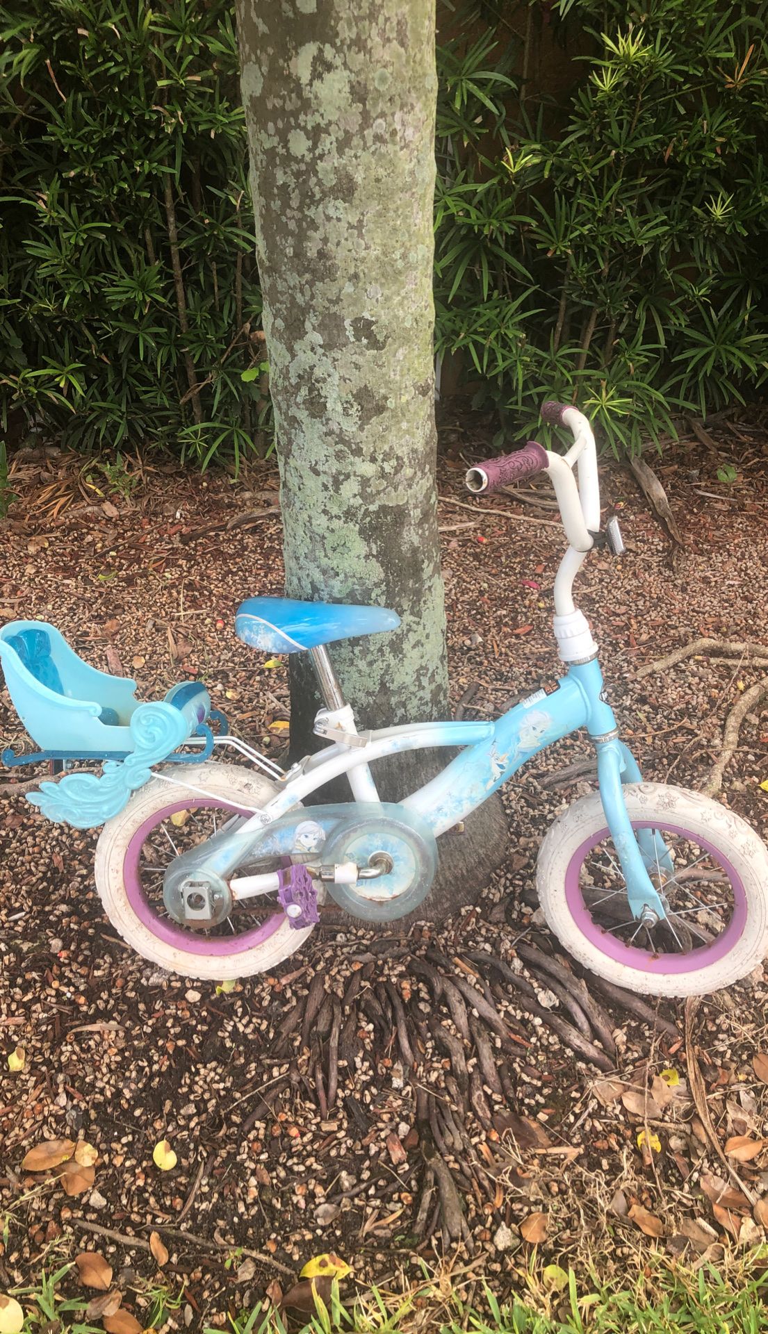 Frozen girls bike w/training wheels