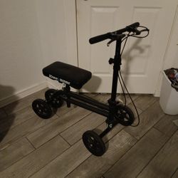 Knee Rover🧑‍🦼