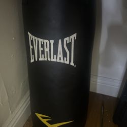 Punching Bag 