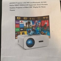 Outdoor Projector/home Theatre