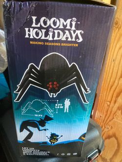 Loony holidays