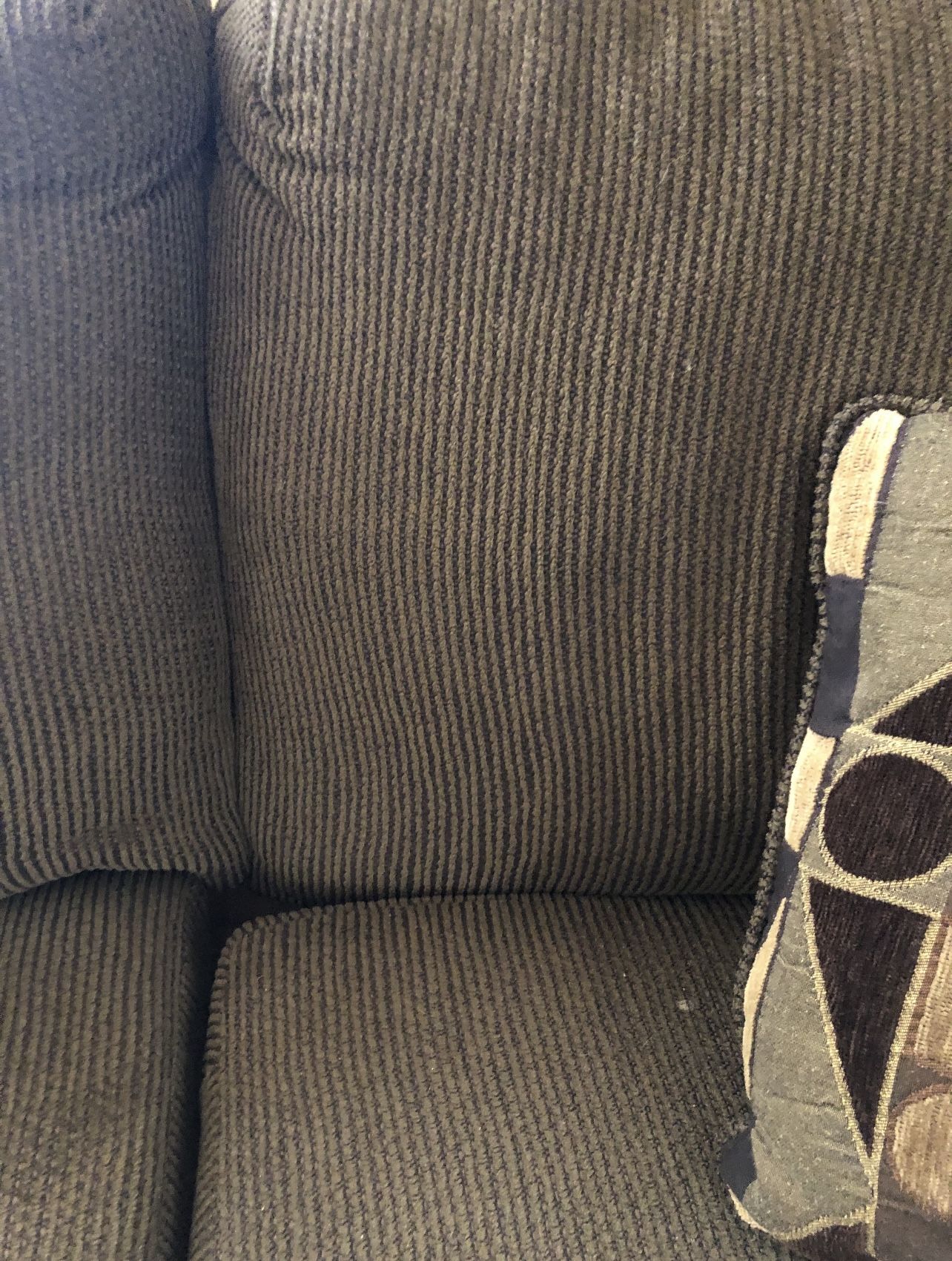 dark green couch
