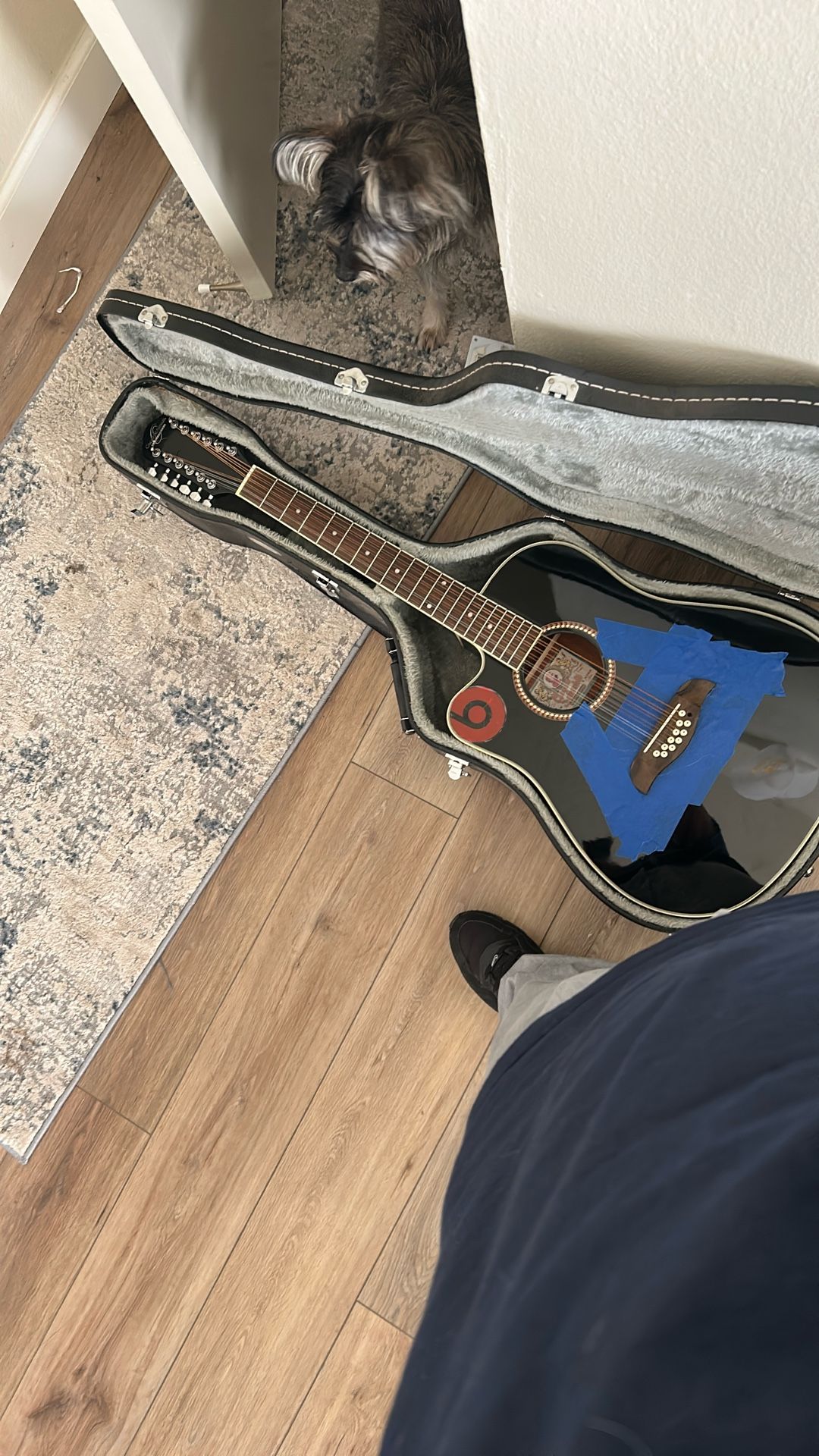 Guitar