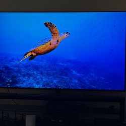 75” LG  Nano91Ana  Smart Ultra 4k 120hz TV