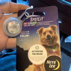 Spotlit Dog Collar Light