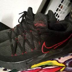 Size 13 LeBron 17 Low Bred