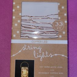 Copper LED String Lights 33 Feet