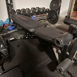 Workout Bench
