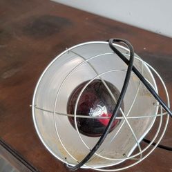 Baby Bird Heat Lamp