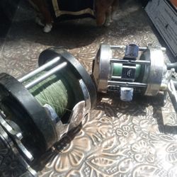 Vintage Fishing Reels