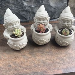 Gnome Cement Planter with succulent $10 per planter