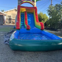 Summer Fun