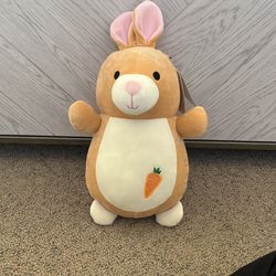 14” hugmees squishmallow rito the kangaroo