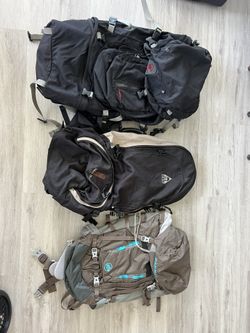 Travel Backpack $60