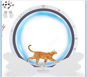 cat wheels