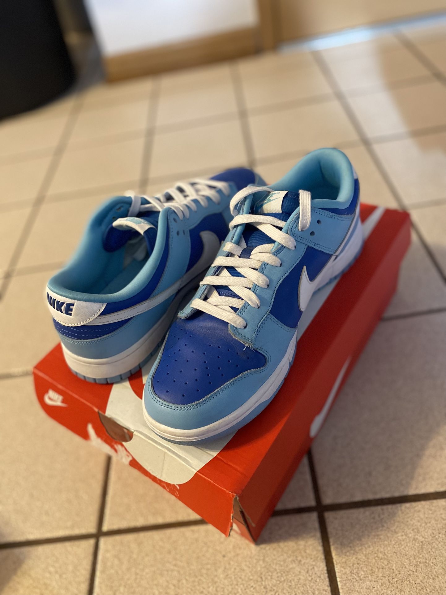 Nike Dunk Argon Blues