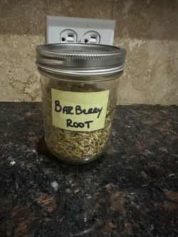 Barberry Root - Herbal Tea Apothecary Holistic Healing herbalism
