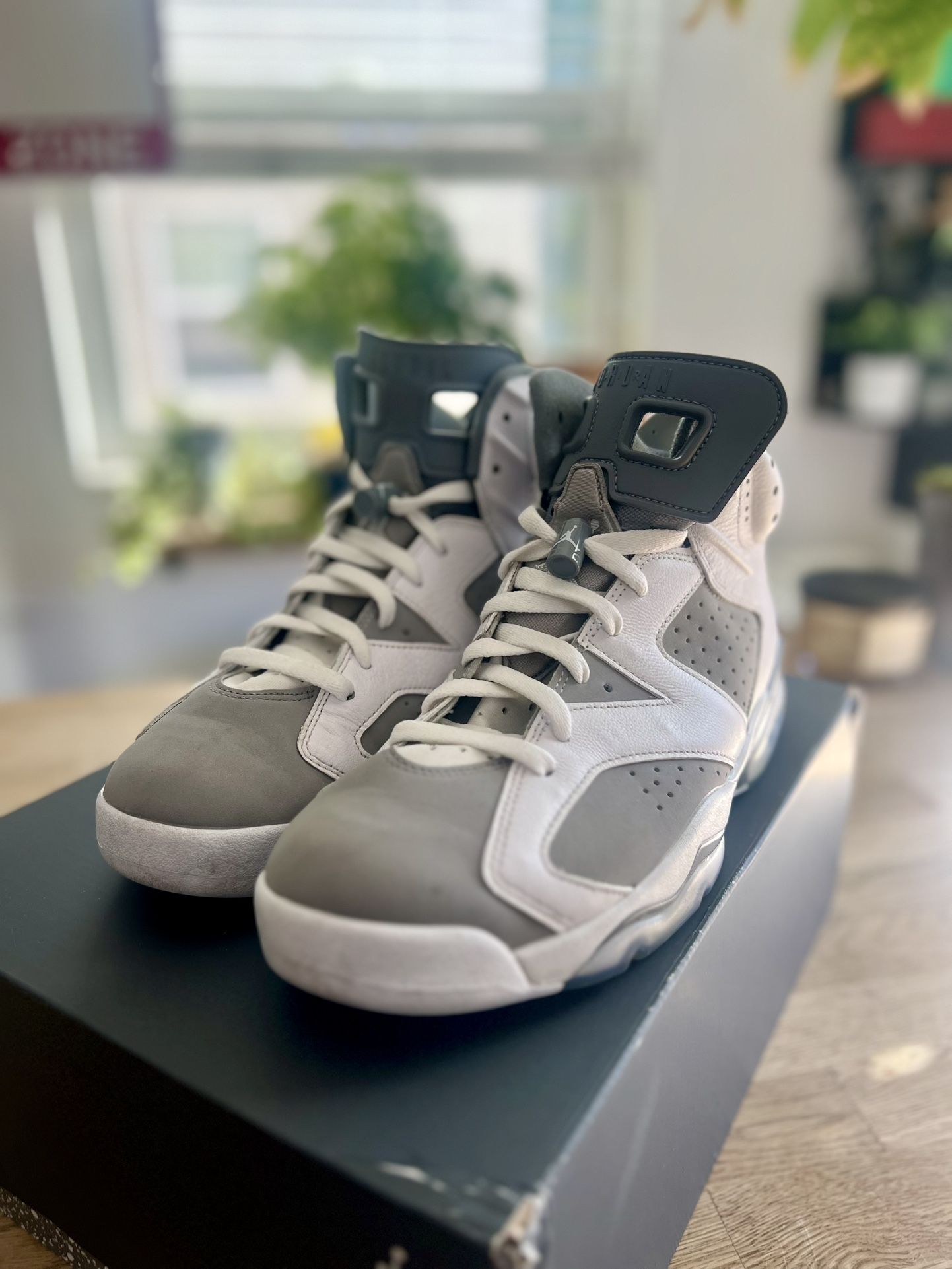 Jordan 6's