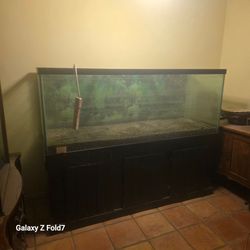 Aquarium For Sale