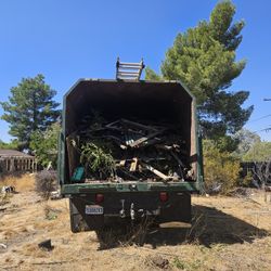 Dump Runs Need To Throw Away Trash 