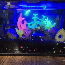 Glo Fish Tank (Includes All Accessories And Food)