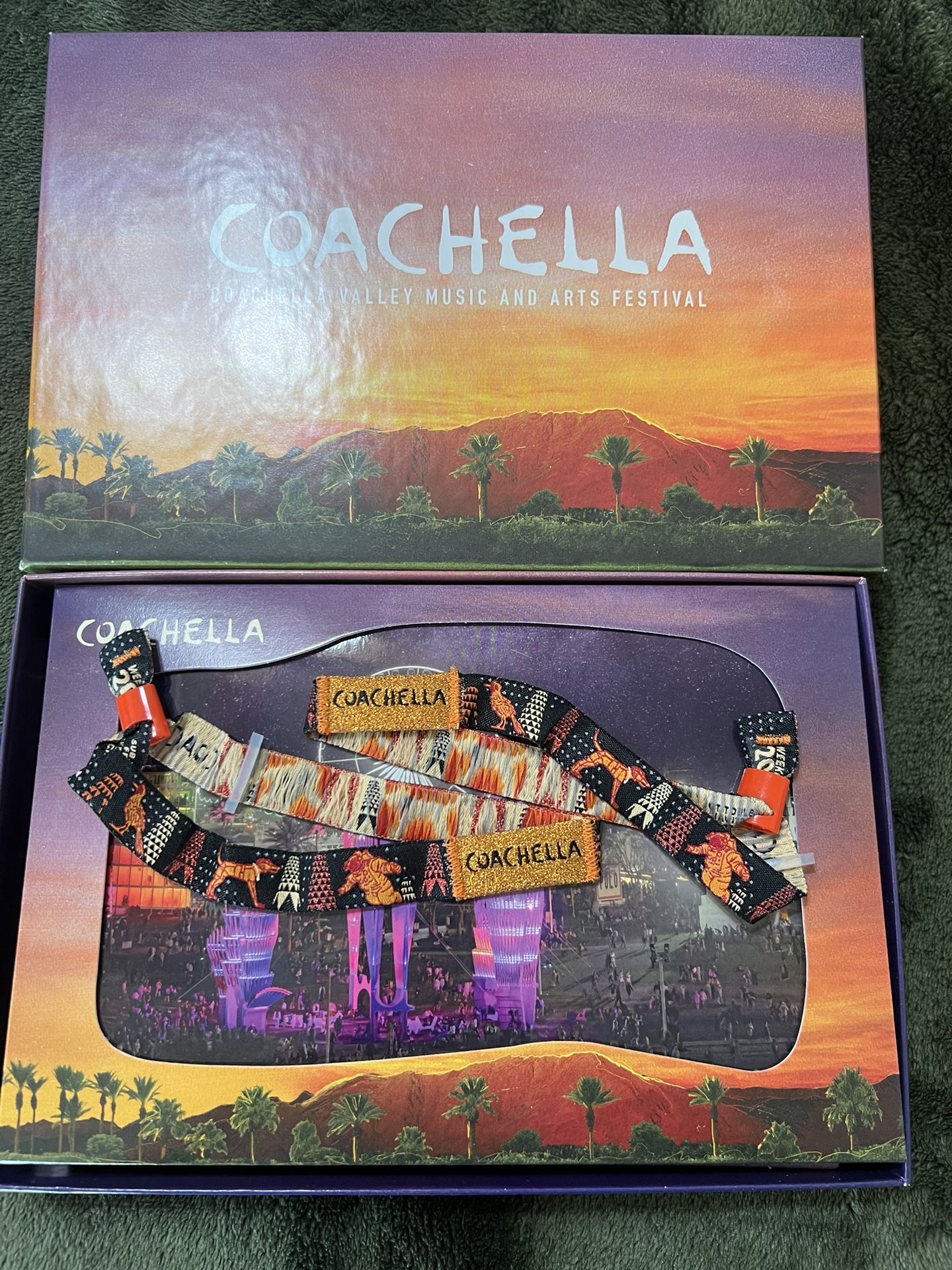 Coachella Weekend 2