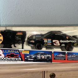 RemoteControl 1/24 scale Dale Sr car
