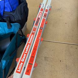 Little Giant ladder