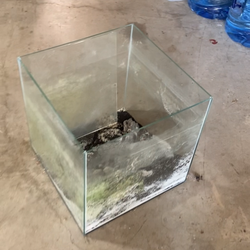 15 x 15 glass aquarium