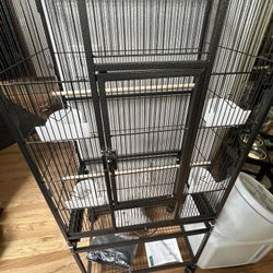 Bird Cage