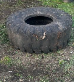 Cross Fit Workout Tire (free)