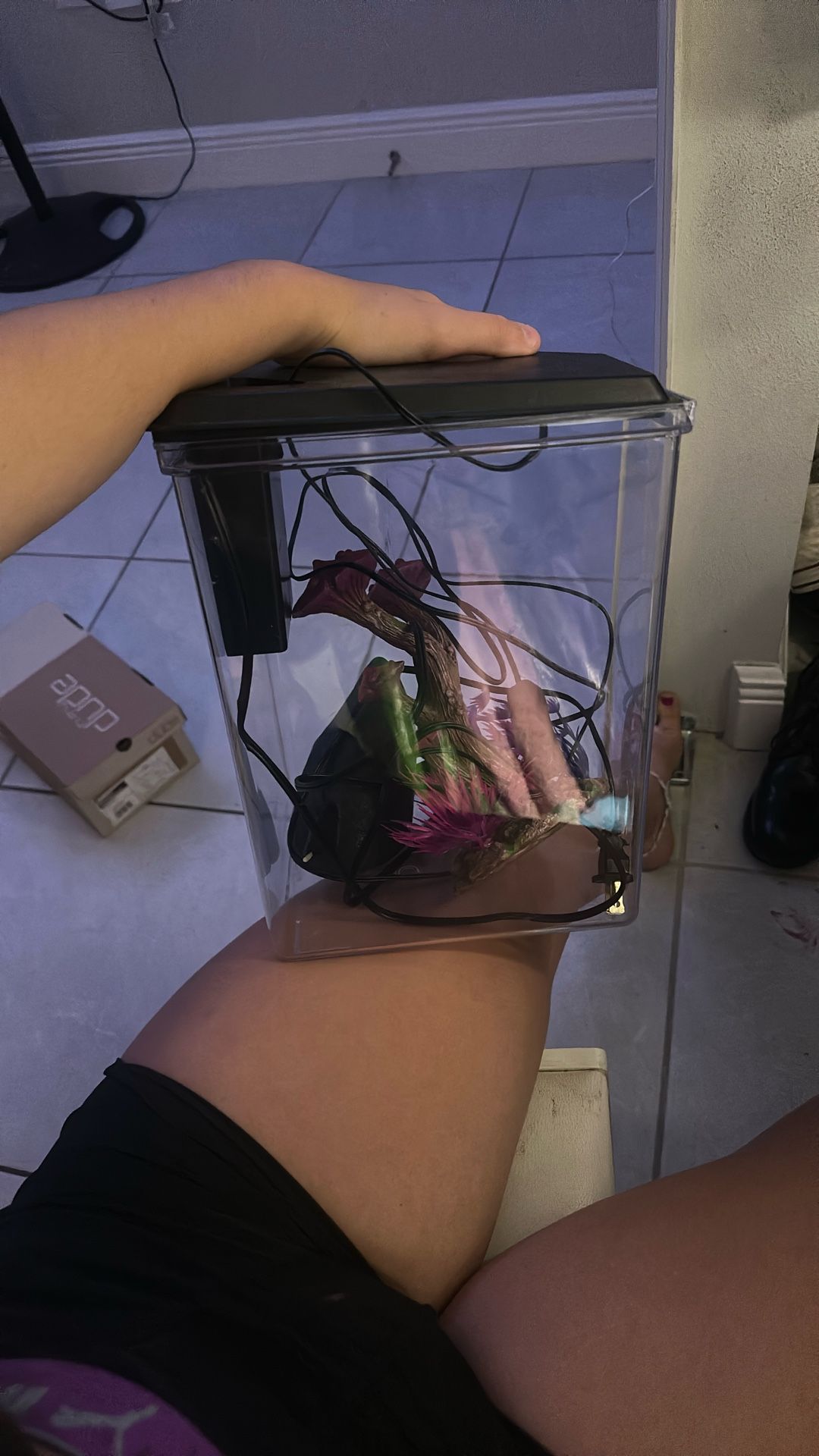 Fish Tank