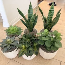 Fake Potted Plants (6 Pieces - Heavy)