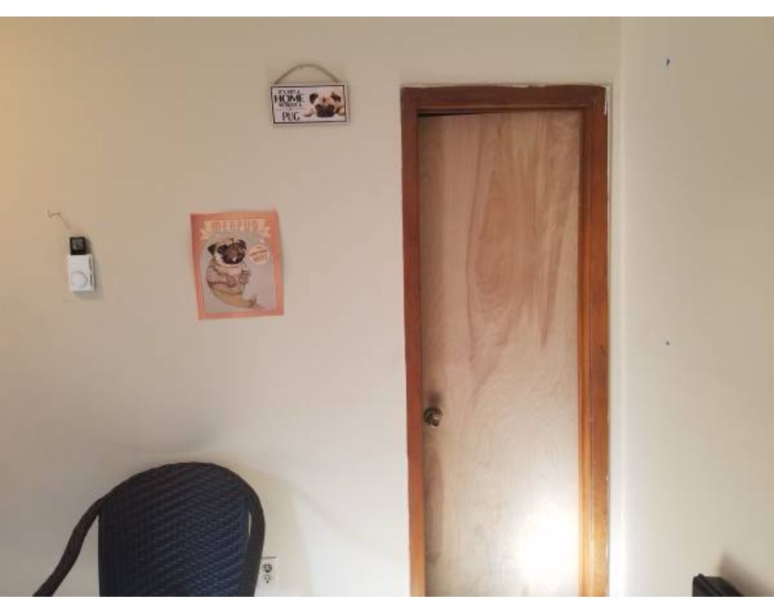 STUDIO UNIT AVAILABLE IN NICE NEIGHBORHOOD NEAR RUTGERS (New Brunswick).