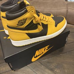 Pollen Jordan 1’s (Size 11.5)