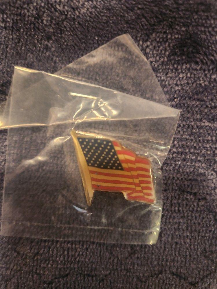 USA FLAG PINS