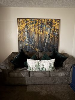 Couch and Pillows/ Sofa y Almohadas 