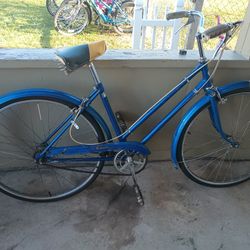 Vintage 3 Speed 