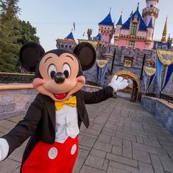 Disneyland Tickets