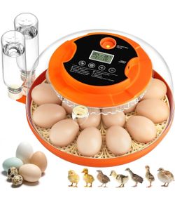 18 Egg Incubators for Hatching Eggs, Automatic Egg Turning and Humidity Control Incubator for Hatch Chicken Duck Quail Pigeon Pheasant Partridge Home