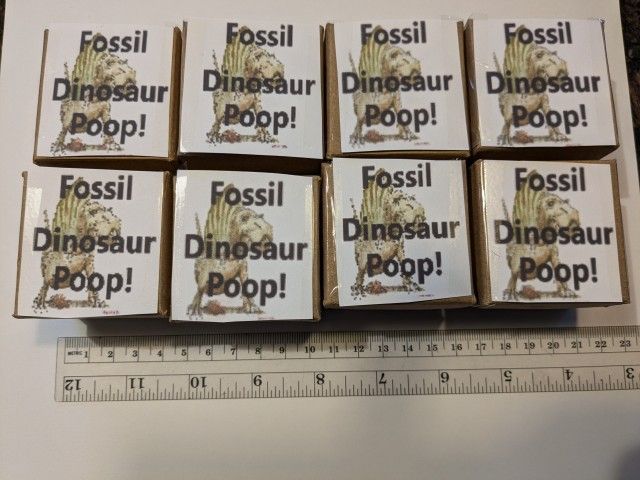 Fossil Dinosaur Poops! (Small Sizes)