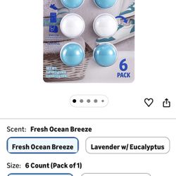 Clorox Deodorizing Ball 