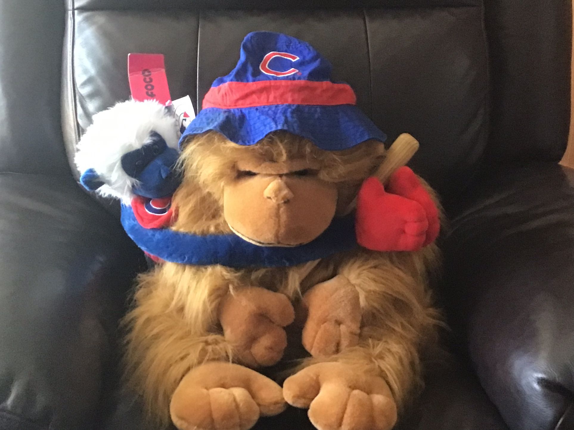 Stuffed Animals