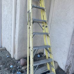 Husky Ladder 8ft