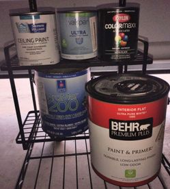 Paint and Primer Bundle or Seperate