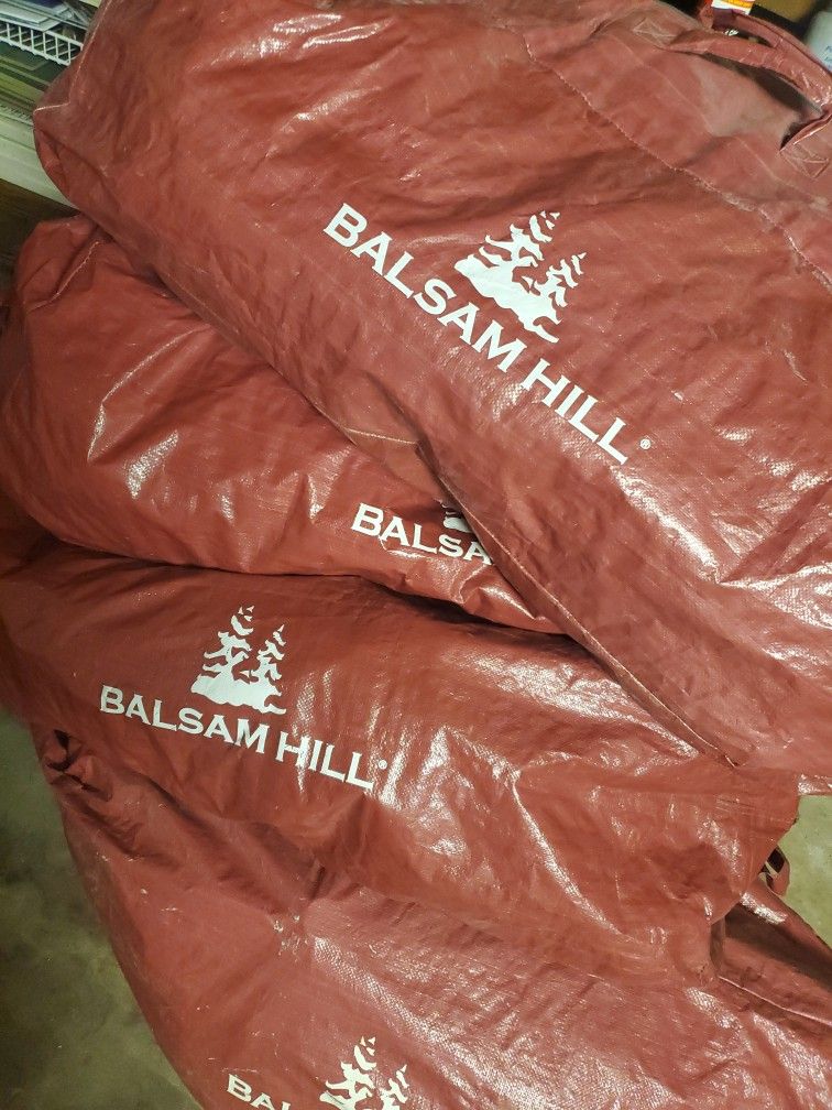 3 Balsam Hill Christmas Trees