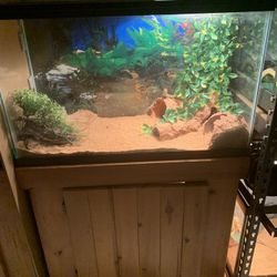 29 Gallon Tank and Wooden Stand