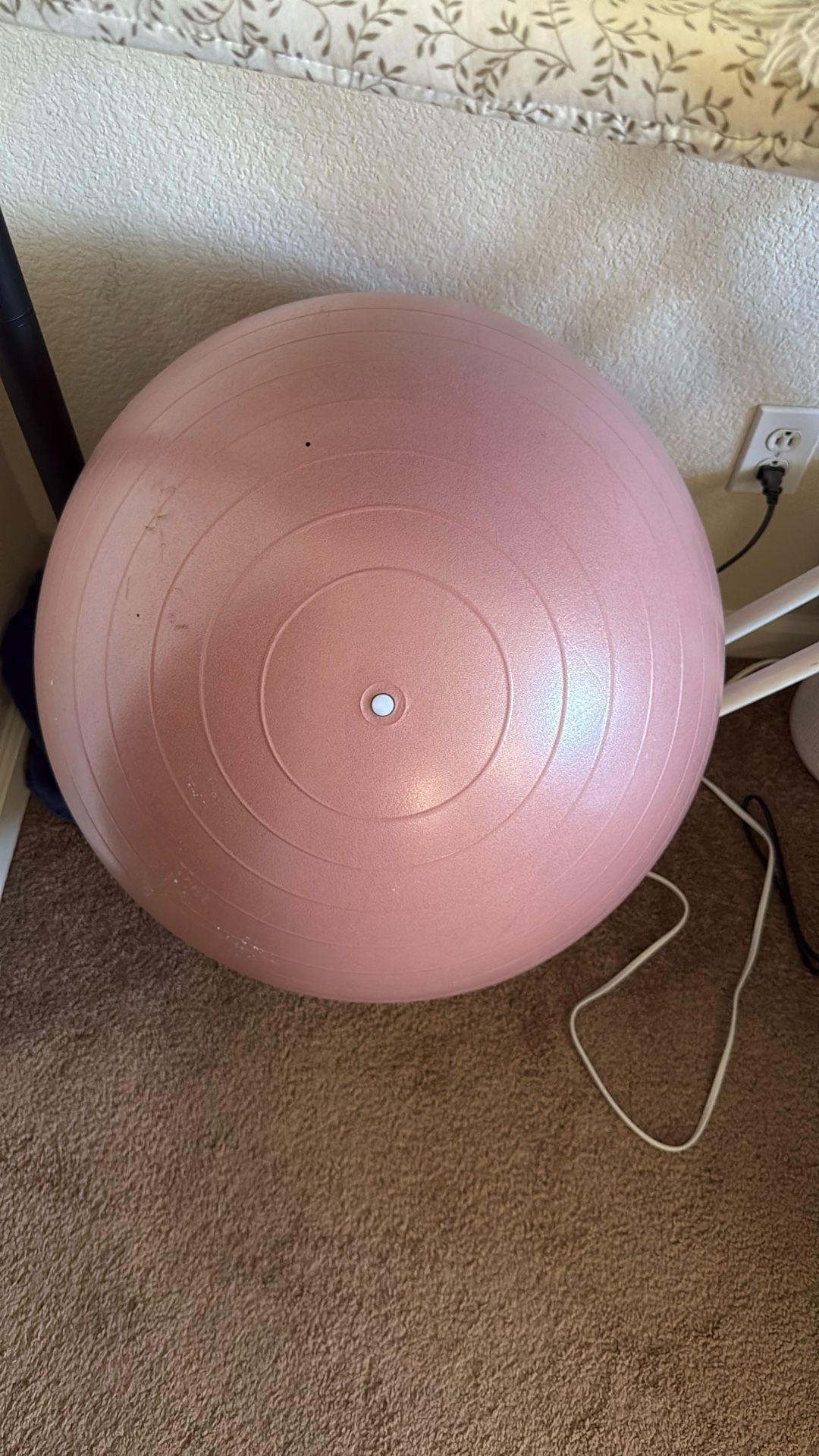 ⭐️ Fitness Ball / Stability Ball