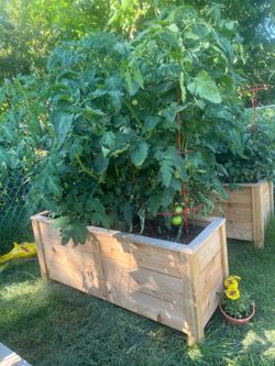 Handmade cedar planter box